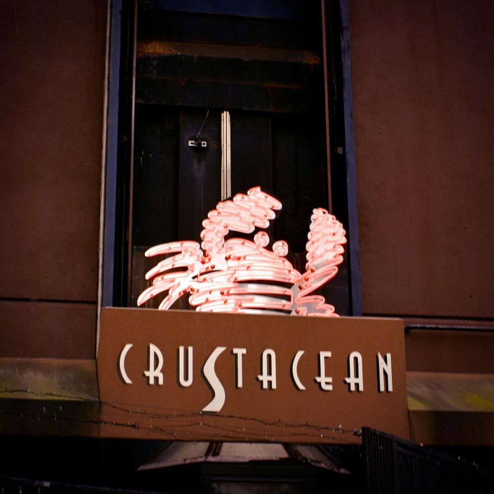 Sample photo from box camera lens