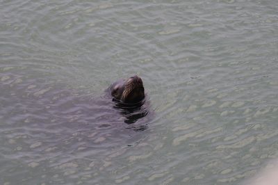 Photos from the Pentax Q